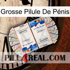 Grosse Pilule De Pénis kamagra1